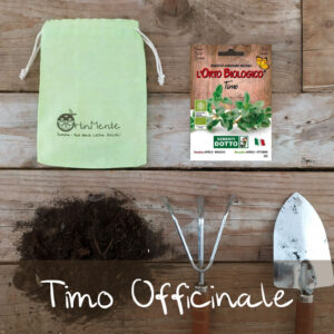 timo officinale bio-sementi dotto